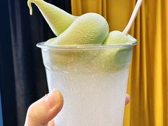 -萨朗刀克冰淇淋雪花凉(植物园店)
