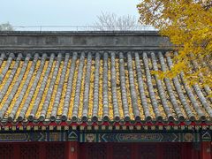 -北京艺术博物馆(万寿寺)