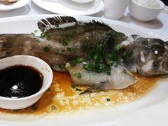 -金满楼(天河中路店)