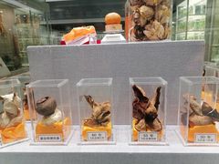 -北京中医药大学-中医药博物馆
