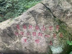 -王顺山国家森林公园