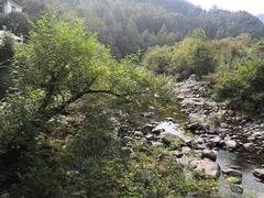 -石台牯牛降景区