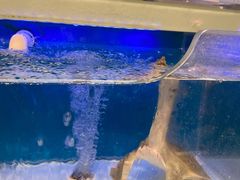 -永辉超市(萧山宝龙广场店)