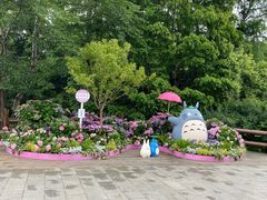-上海滨江森林公园