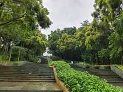 -深圳国际园林花卉博览园