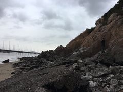 景点-北岐滩涂
