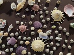 -石林冰雪海洋世界