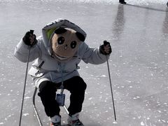 -绿野森林乐园冰雪季
