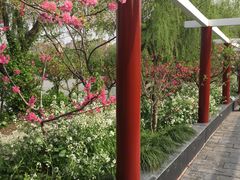 -南汇桃花村