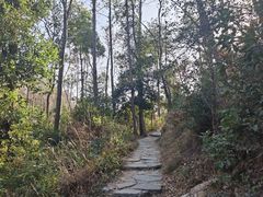 -青龙山国家森林公园