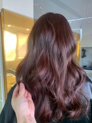 -潘多拉Hairsalon