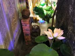 -韵秋荷(宝山龙湖天街店)