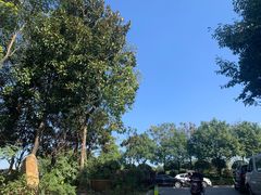 -恋拐子油爆虾·家常菜