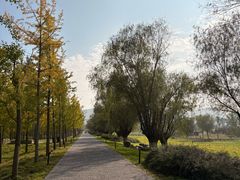 -汉长安城未央宫国家考古遗址公园