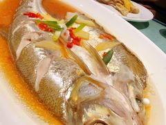 -西塘人家•黑金冠本地好店