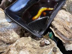 -烧蠔帮·生蚝海鲜牌档(观海店)