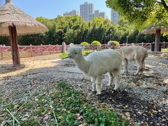 -昆山城市生态森林公园