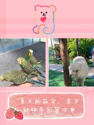 -萌宠亲子动物乐园(槐房万达店)