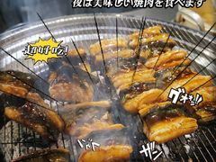 -本炙炭烤·蒲烧活鳗料理店(金沙洲店)