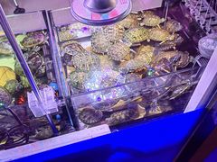 -花鸟鱼虫鲜花绿植市场(玉泉路店)