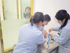 -汪喵宠物医院·骨科心脏影像·犬猫急重症ICU诊疗中心(成华分院)