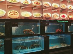 -百富源·海鲜辽菜(和平北大街店)