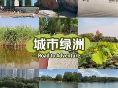 -太阳宫公园