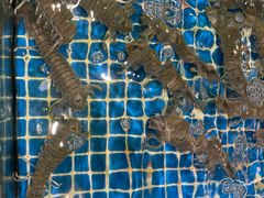 -三亚火车头万人海鲜广场