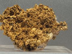 -中国地质博物馆