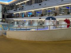 -海韵之星邮轮水会(明发商业广场店)