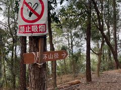 -滴水岩森林公园