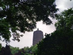 -玲珑塔公园