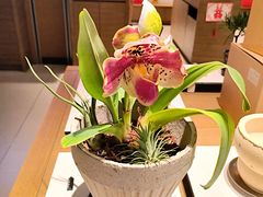 -茑屋书店(天目里店)