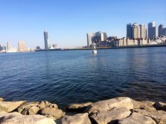 -海河外滩公园