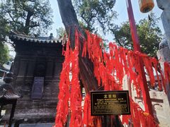 -关林
