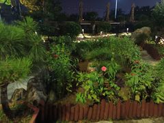 -蘇河湾·新鲁菜·泰山宴(泰山店)