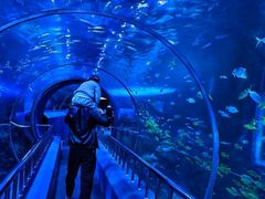 -秦皇岛新澳海底世界