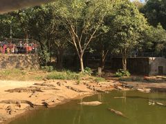 -广东茂名森林公园