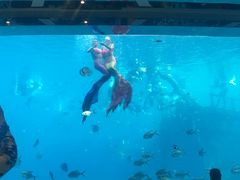 -瑞德姆美人鱼海底演艺主题餐厅(亚龙湾店)