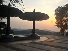 -铁山坪森林公园