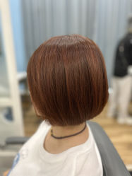 -YESIDO椰岛造型