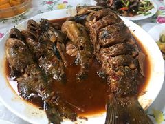 -金台阶鱼馆(于桥水库店)