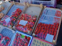 -韩家墅海吉星农产品批发市场