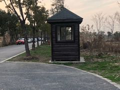 -广富林郊野公园
