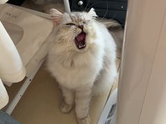 -常来茶·水果研究所(西溪里店)