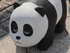 -星光大道