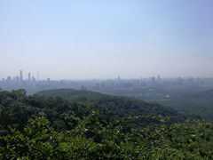-利苑酒家(合景国际金融广场店)