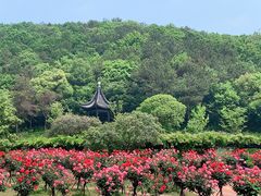 -龙寺生态园