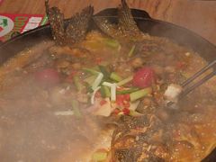 -老板恋上鱼(恒隆广场店)