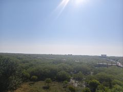 -北海金海湾红树林生态旅游区